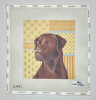 Chocolate Lab
