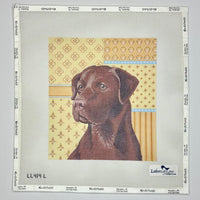 Chocolate Lab