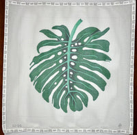 Monstera
