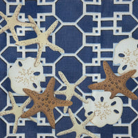 Starfish on Lattice-Navy