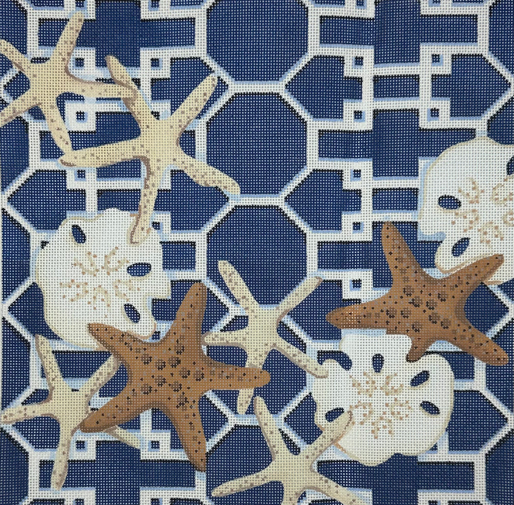 Starfish on Lattice-Navy