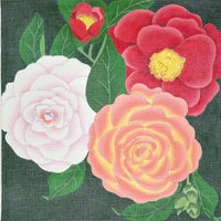 Giant Camellias
