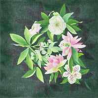 Hellebore
