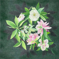 Hellebore