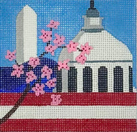 Washington DC Travel Coaster
