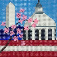 Washington DC Travel Coaster