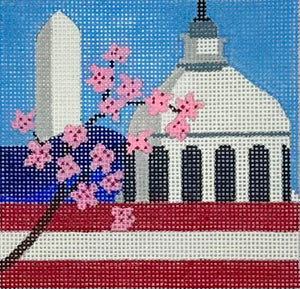 Washington DC Travel Coaster