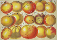 Apples
