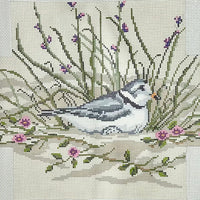 Piping Plover Brick Cover