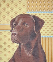 Chocolate Lab
