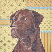 Chocolate Lab