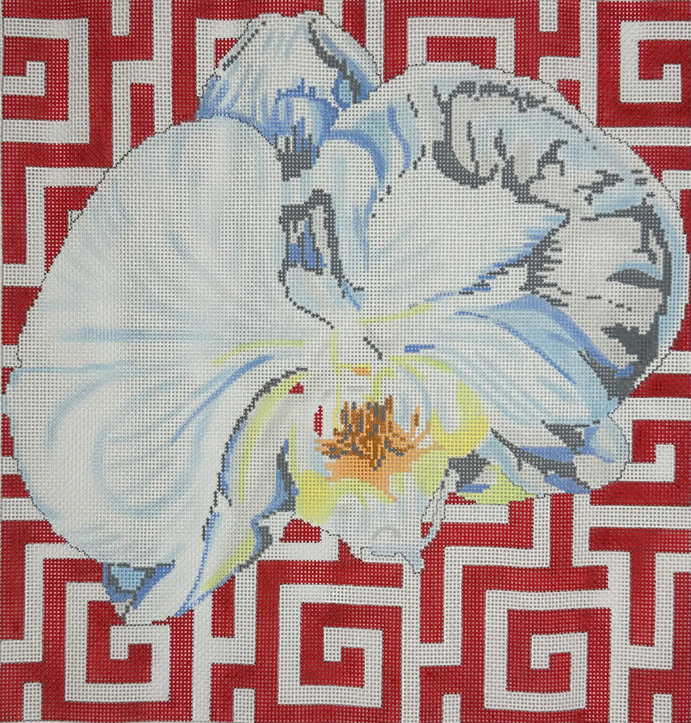 White Orchid on Terra Cotta