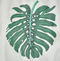 Monstera
