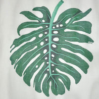 Monstera