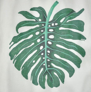 Monstera