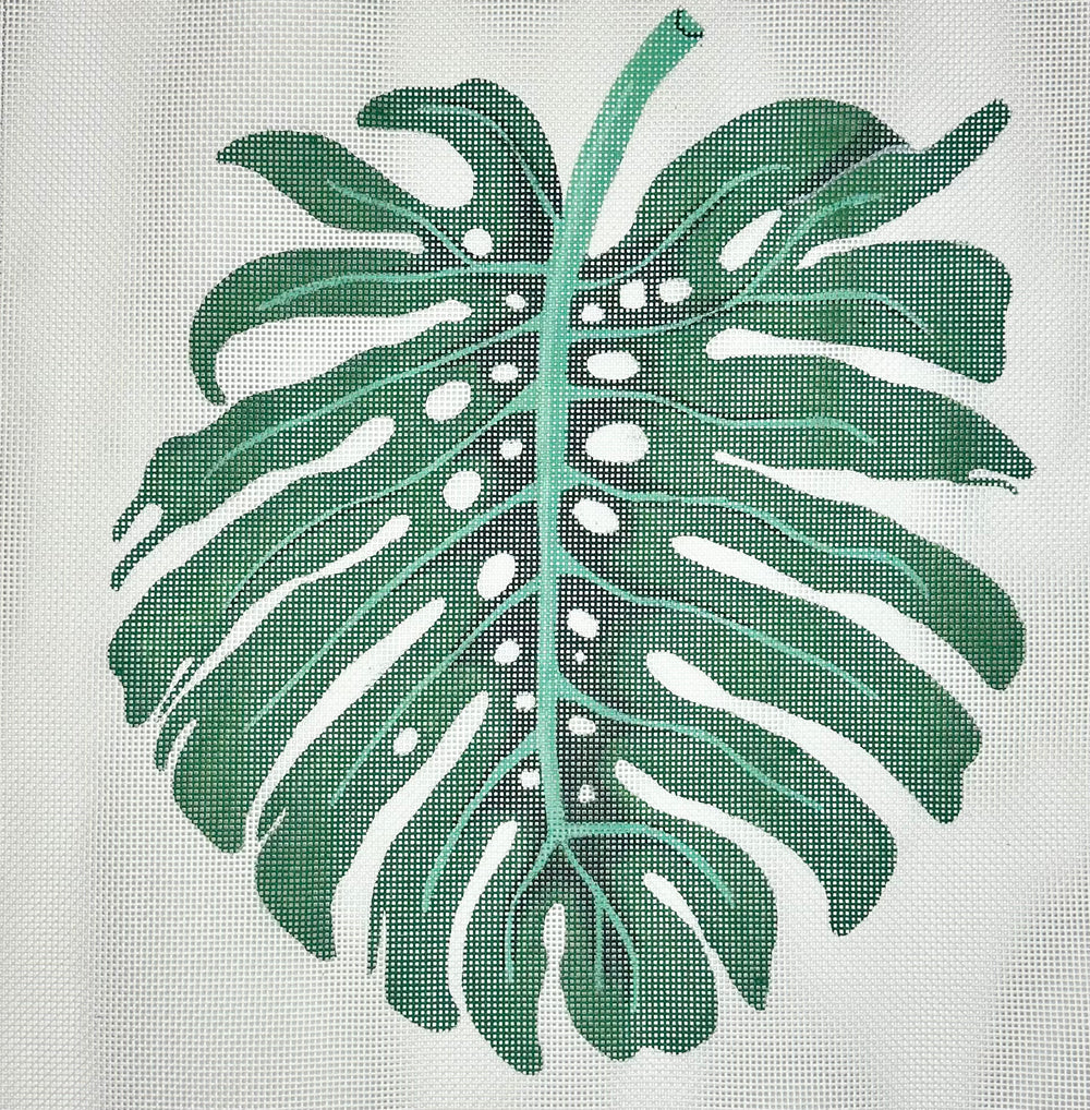 Monstera