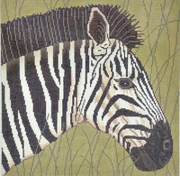 Zebra in Grass
