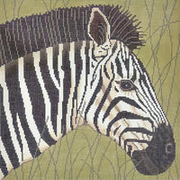 Zebra in Grass